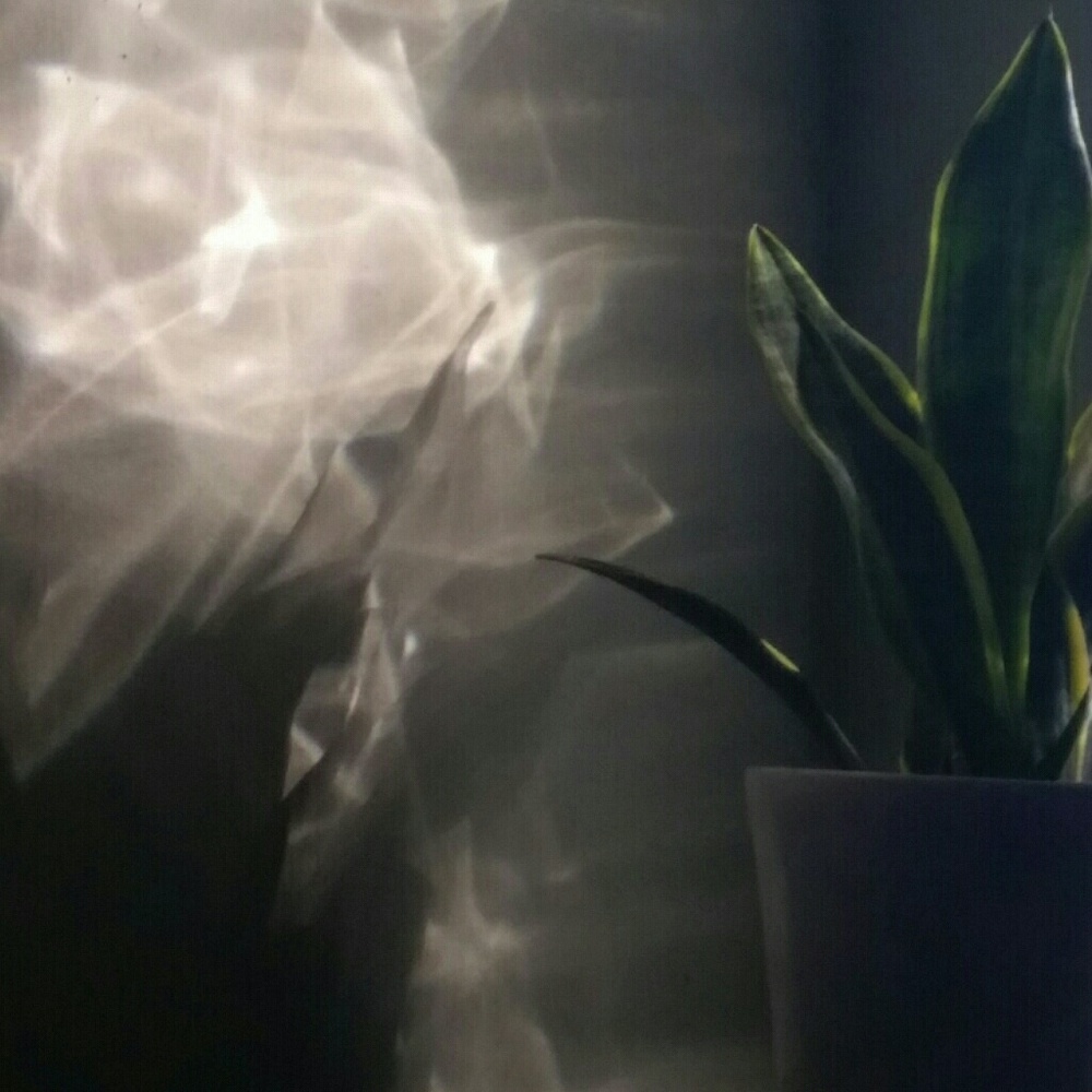 Meet your Posher, Vera